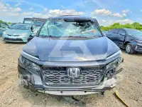 2019 Honda PASSPORT photo