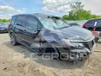 2019 Honda PASSPORT photo