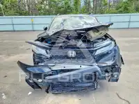 2019 Honda PASSPORT photo