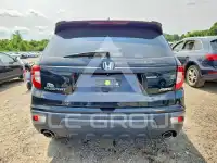 2019 Honda PASSPORT photo