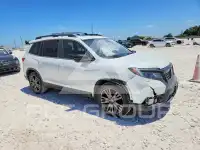 2019 Honda PASSPORT photo