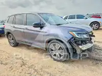 2019 Honda PASSPORT photo