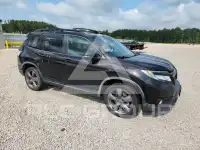2019 Honda PASSPORT photo