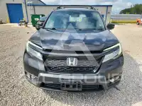 2019 Honda PASSPORT photo