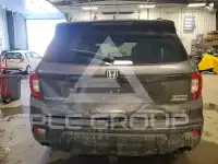 2019 Honda PASSPORT photo