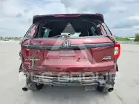 2019 Honda PASSPORT фото
