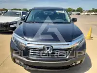 2019 Honda RIDGELINE фото