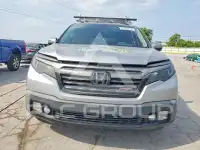 2019 Honda RIDGELINE фото