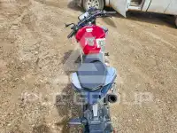 2019 Honda CB фото