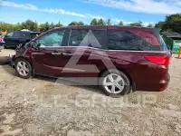 2019 Honda ODYSSEY фото
