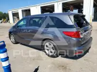 2019 Honda ODYSSEY фото