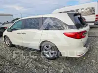 2019 Honda ODYSSEY фото