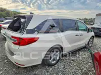 2019 Honda ODYSSEY фото