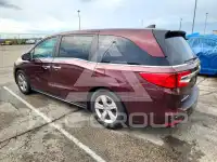 2019 Honda ODYSSEY фото