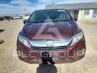 2019 Honda ODYSSEY photo