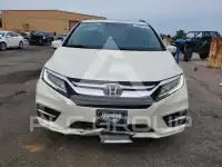 2019 Honda ODYSSEY фото