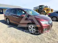 2019 Honda ODYSSEY photo