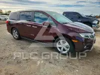 2019 Honda ODYSSEY фото