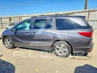 2019 Honda ODYSSEY фото