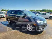 2019 Honda ODYSSEY фото