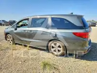 2019 Honda ODYSSEY фото