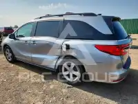 2019 Honda ODYSSEY photo