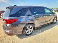2019 Honda ODYSSEY фото
