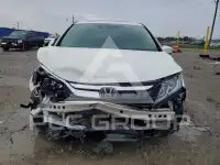 2019 Honda ODYSSEY фото