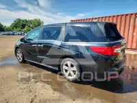 2019 Honda ODYSSEY фото