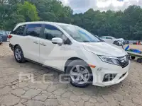 2019 Honda ODYSSEY фото