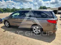 2019 Honda ODYSSEY фото
