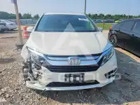 2019 Honda ODYSSEY фото