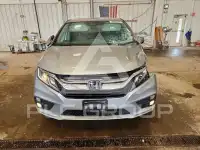 2019 Honda ODYSSEY фото