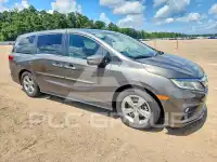 2019 Honda ODYSSEY фото