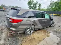 2019 Honda ODYSSEY фото