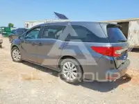 2019 Honda ODYSSEY фото