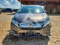 2019 Honda ODYSSEY photo