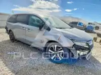 2019 Honda ODYSSEY фото