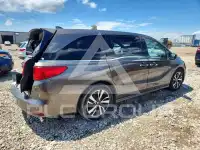 2019 Honda ODYSSEY фото