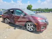 2019 Honda ODYSSEY фото