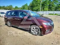 2019 Honda ODYSSEY фото