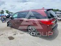 2019 Honda ODYSSEY photo