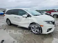 2019 Honda ODYSSEY фото