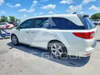 2019 Honda ODYSSEY фото