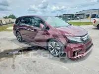 2019 Honda ODYSSEY photo