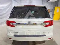 2019 Honda ODYSSEY photo