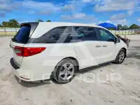 2019 Honda ODYSSEY фото