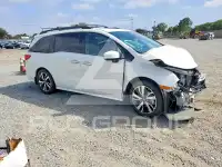 2019 Honda ODYSSEY фото