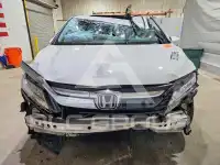 2019 Honda ODYSSEY photo