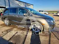 2019 Honda ODYSSEY photo